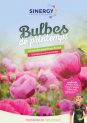 Bulbes de printemps