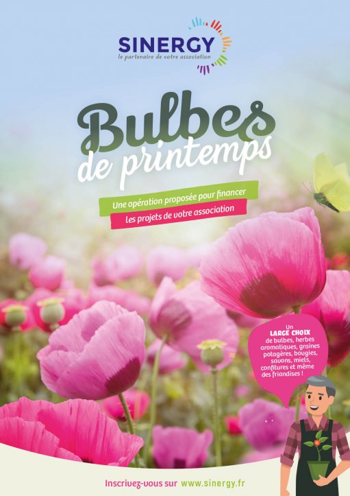Bulbes de printemps
